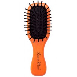 MINI BROSSE ORANGE