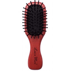 MINI BROSSE TOMATE 