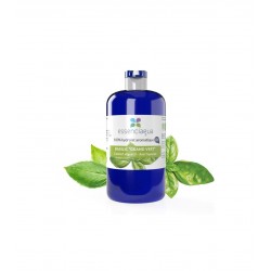 Hydrolat Basilic Grand Vert | Essenciagua