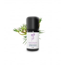 Huile essentielle carotte sauvage | Essenciagua