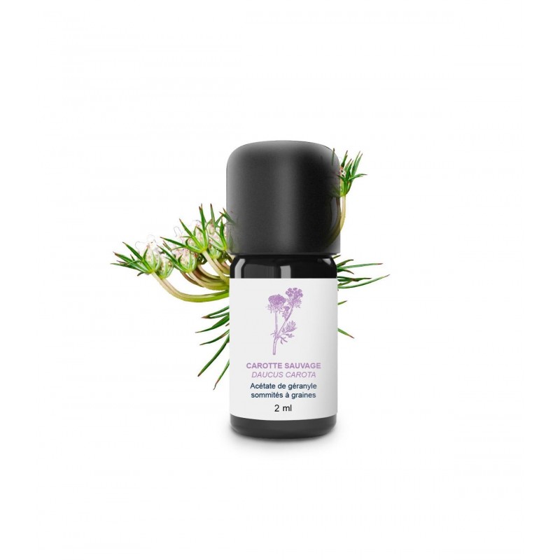 Huile essentielle carotte sauvage | Essenciagua