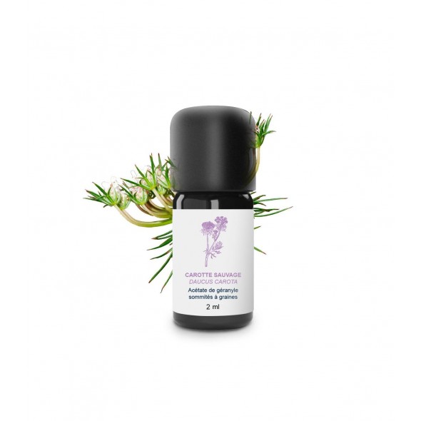 Huile essentielle carotte sauvage | Essenciagua