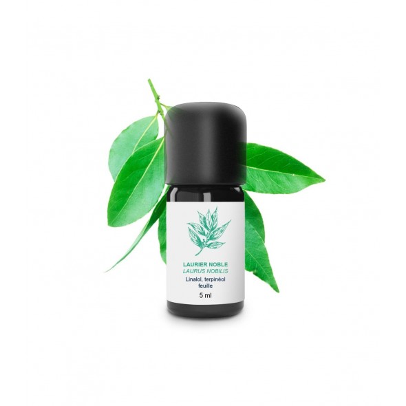Huile essentielle laurier noble | Essenciagua