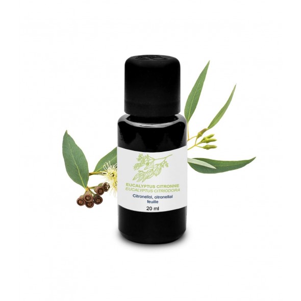 Huile essentielle eucalyptus citronné | Essenciagua