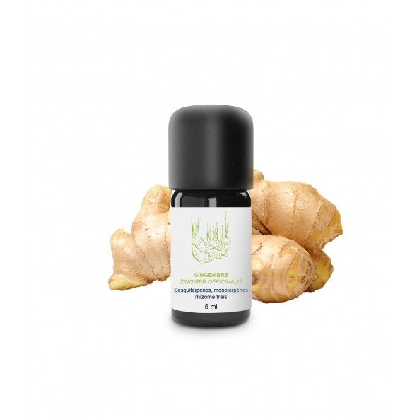 Huile essentielle gingembre frais | Essenciagua