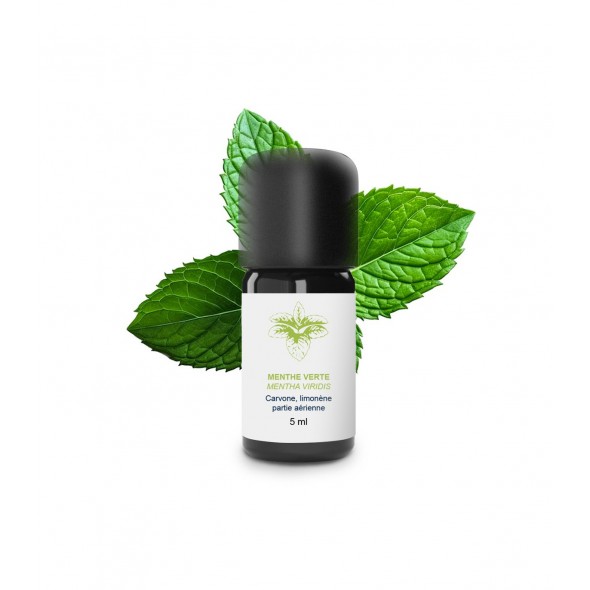 Huile essentielle menthe verte | Essenciagua