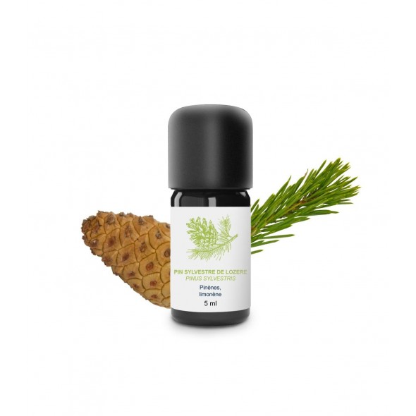 Huile essentielle pin sylvestre de Lozère | Essenciagua