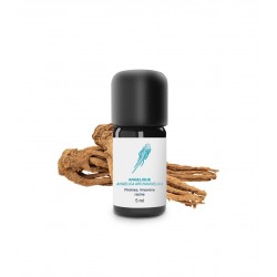 Huile Essentielle d'Angélique (Racine) | Essenciagua