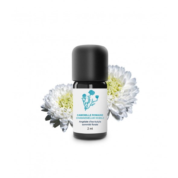 Huile essentielle de Camomille Romaine (noble) | Essenciagua