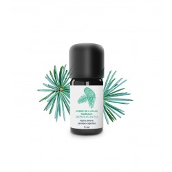 Huile essentielle de Cèdre de l’Atlas (bois) | Essenciagua