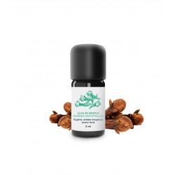 Huile Essentielle de Clou de Girofle 5ml | Essenciagua