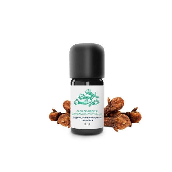 Huile Essentielle de Clou de Girofle 5ml | Essenciagua