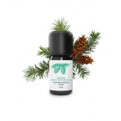 Huile Essentielle de Douglas | Essenciagua
