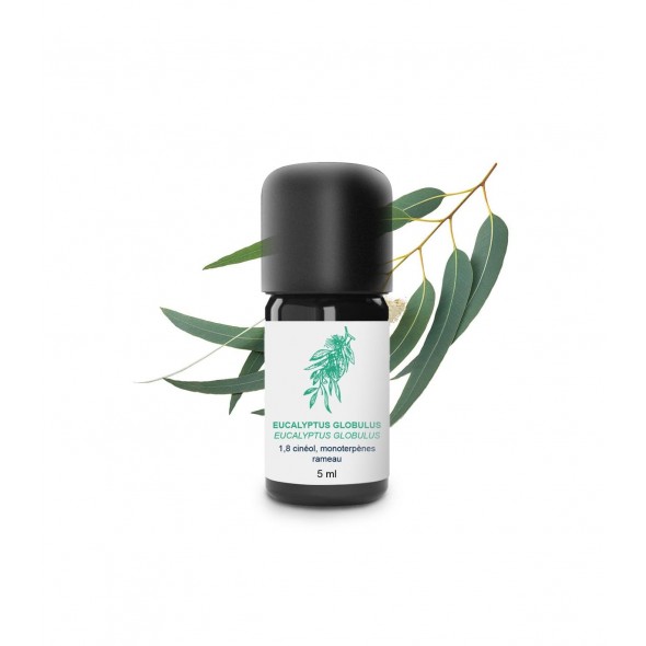 Huile essentielle eucalyptus globulus | Essenciagua