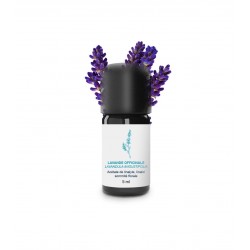 Huile essentielle lavande officinale | Essenciagua
