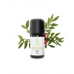 Huile Essentielle de Lentisque Pistachier | Essenciagua