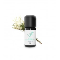 Huile essentielle Tea Tree bio | Essenciagua
