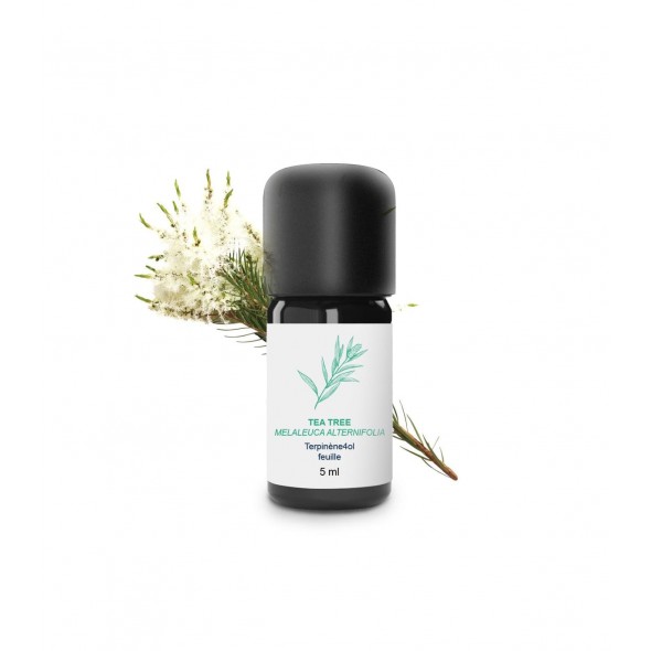 Huile essentielle Tea Tree bio | Essenciagua