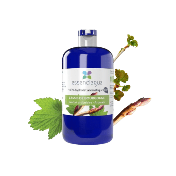 Hydrolat Cassis de Bourgogne | Essenciagua