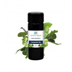 Huile Végétale de Calophylle Bio 100ml | Essenciagua