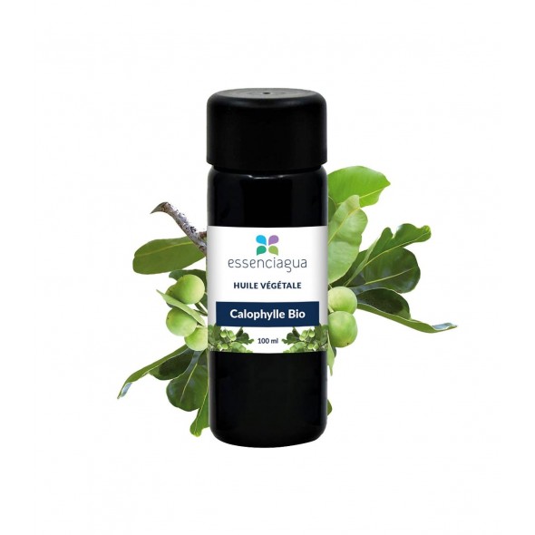 Huile Végétale de Calophylle Bio 100ml | Essenciagua