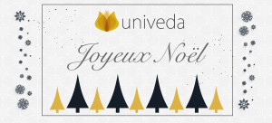 
			                        			chèque cadeau noel modern